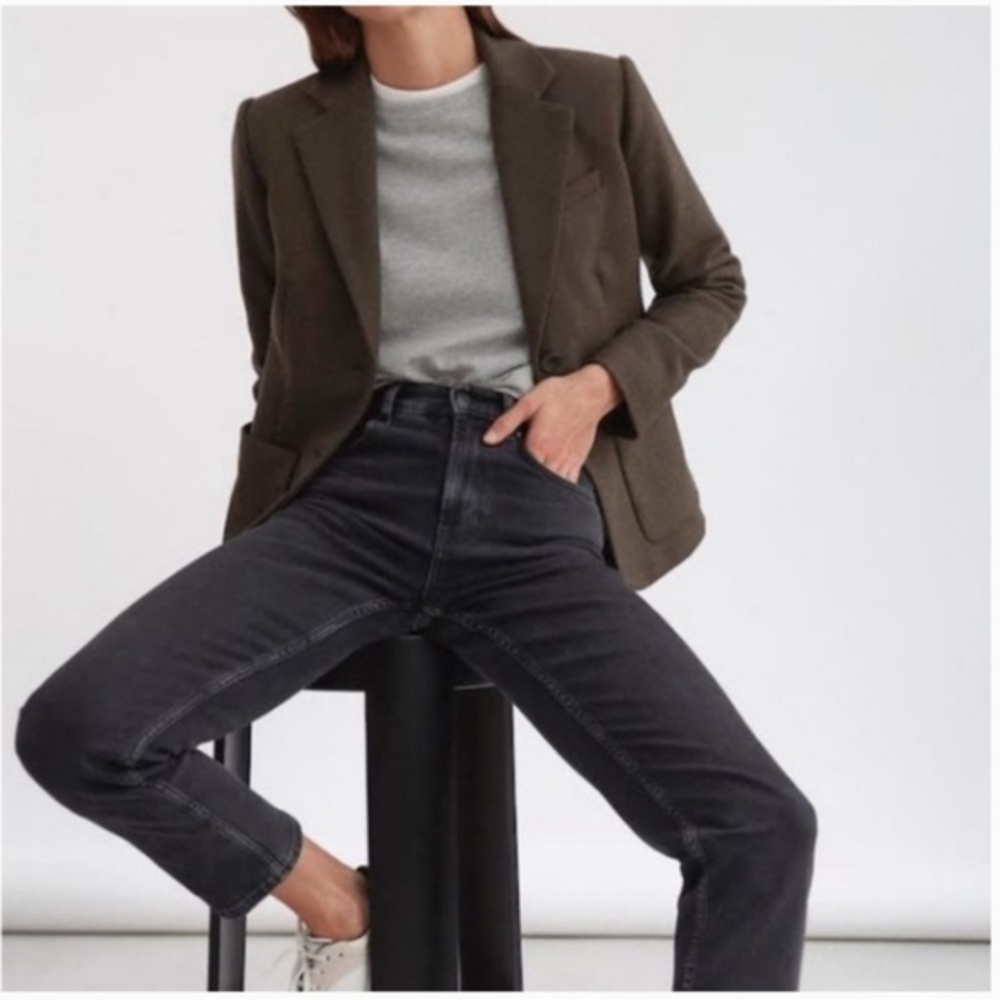 Everlane Wool Academy Blazer in Peat Size 14